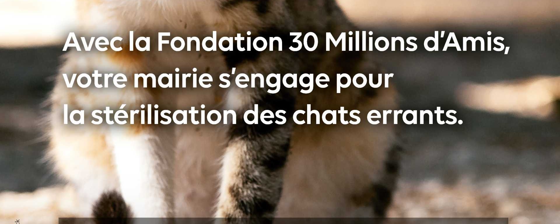 Image actualité